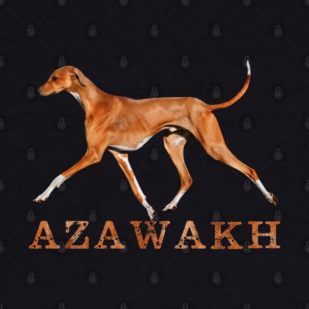 Azawakh Sighthound by Nartissima